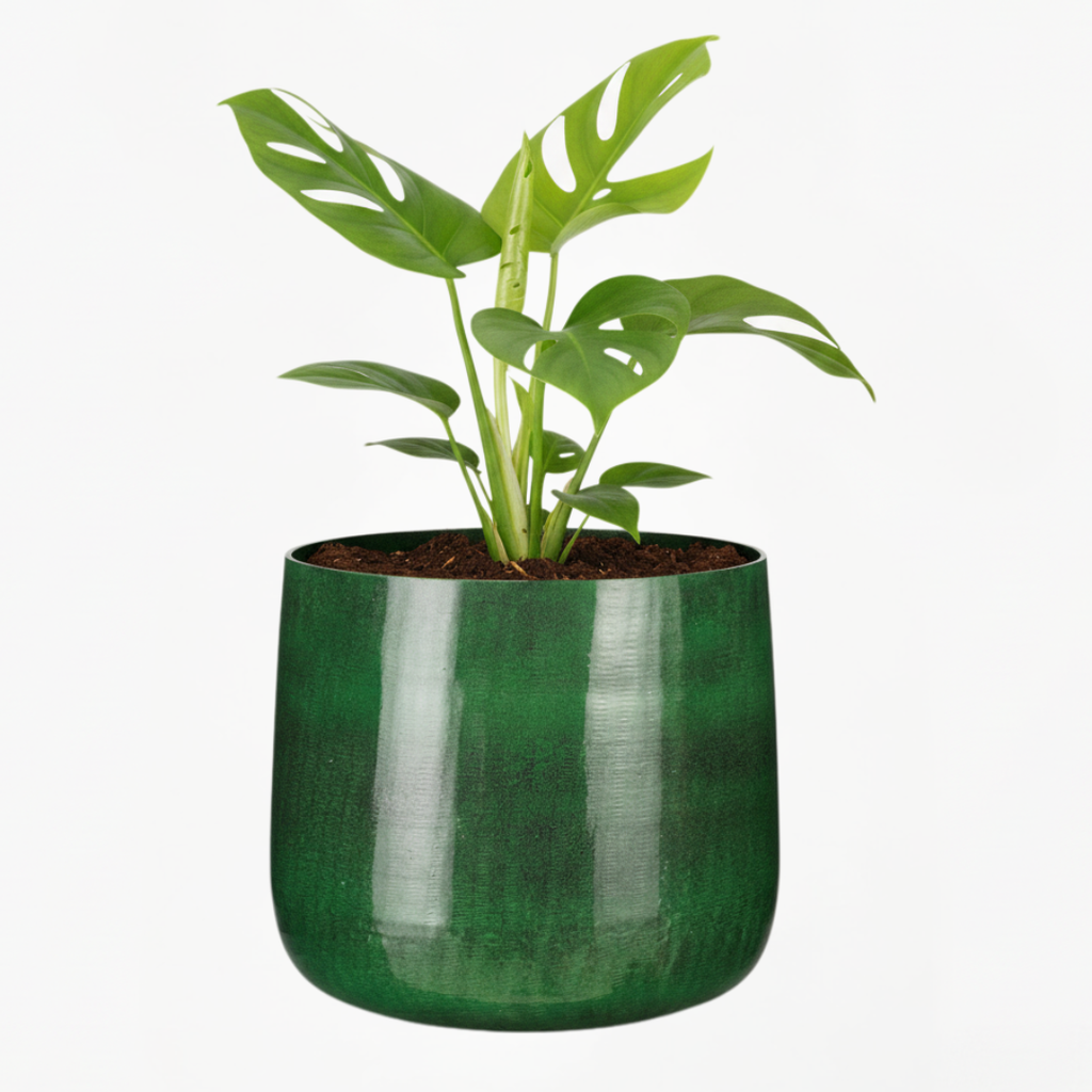 Dark Green Metal Flower Pot – Industrial Style Planter