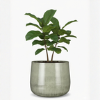 Large Light Grey Metal Plant Pot – Modern Industrial Style