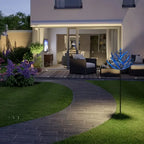 Enchanting Blue Lotus – Elegant Decorative Flower for Garden