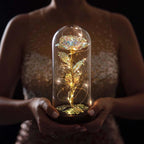 Eternal Luminous Rose Gift led Enchanted Glass Dome Flower Light-Unique Casa-Unique Casa
