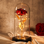 Eternal Luminous Rose Gift led Enchanted Glass Dome Flower Light-Unique Casa-Unique Casa