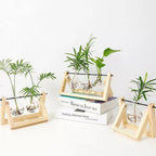 Glass Propagation Vase with A-Frame Wood Stand – Stylish Home Decor Accent