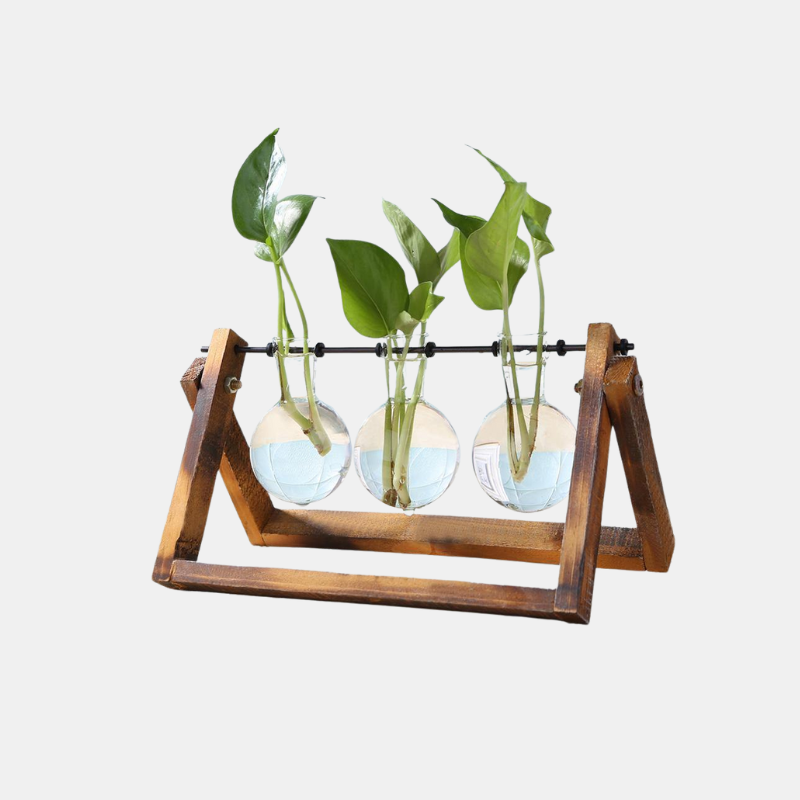 Glass Propagation Vase with A-Frame Wood Stand – Stylish Home Decor Accent