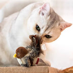 Rechargeable Bird Toy for Cat - Lightweight, Durable Design for Playtime & Exercise