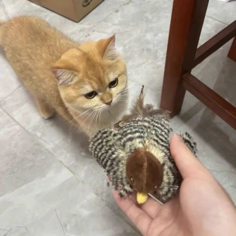 Rechargeable Bird Toy for Cat - Lightweight, Durable Design for Playtime & Exercise