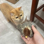 Rechargeable Bird Toy for Cat - Lightweight, Durable Design for Playtime & Exercise