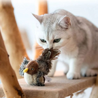 Rechargeable Bird Toy for Cat - Lightweight, Durable Design for Playtime & Exercise