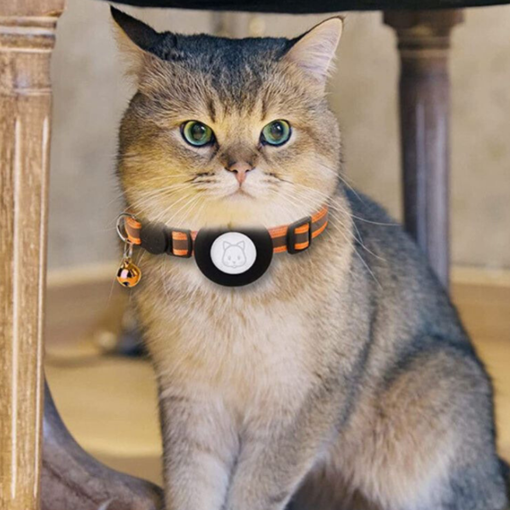 Cat GPS Tracker Collar – Safety, Visibility & Peace of Mind in One Smart Design-GPS Collars-Unique Casa-Unique Casa