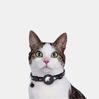 Cat GPS Tracker Collar – Safety, Visibility & Peace of Mind in One Smart Design-GPS Collars-Unique Casa-Black-Without GPS tracker-Unique Casa