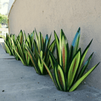 Agave-Shaped Outdoor Lamp – Unique Decorative Garden Light Fixture 1