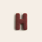 Alphabet Sofa Cushion – Elegant Letter Decorative Pillow for Home and Kids Room-Sofa Cushion-Unique Casa-H-Unique Casa