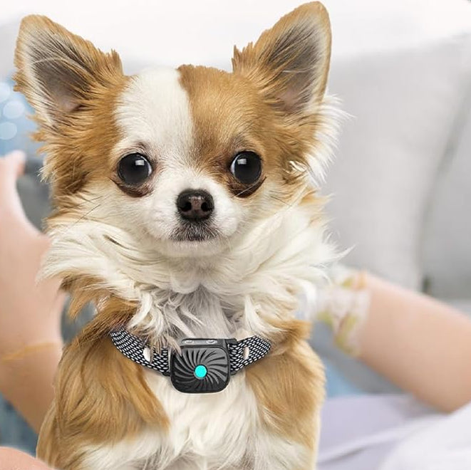 Anti-Bark Collar for Small Dogs – Gentle Training Solution for Calm Behavior-General-Unique Casa-Unique Casa