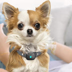 Anti-Bark Collar for Small Dogs – Gentle Training Solution for Calm Behavior-General-Unique Casa-Unique Casa