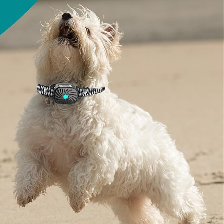 Anti-Bark Collar for Small Dogs – Gentle Training Solution for Calm Behavior-General-Unique Casa-Unique Casa