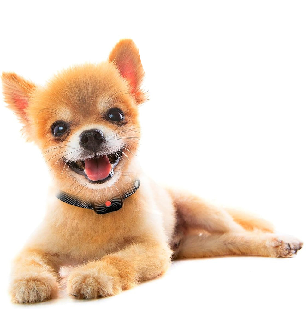 Anti-Bark Collar for Small Dogs – Gentle Training Solution for Calm Behavior-General-Unique Casa-Unique Casa