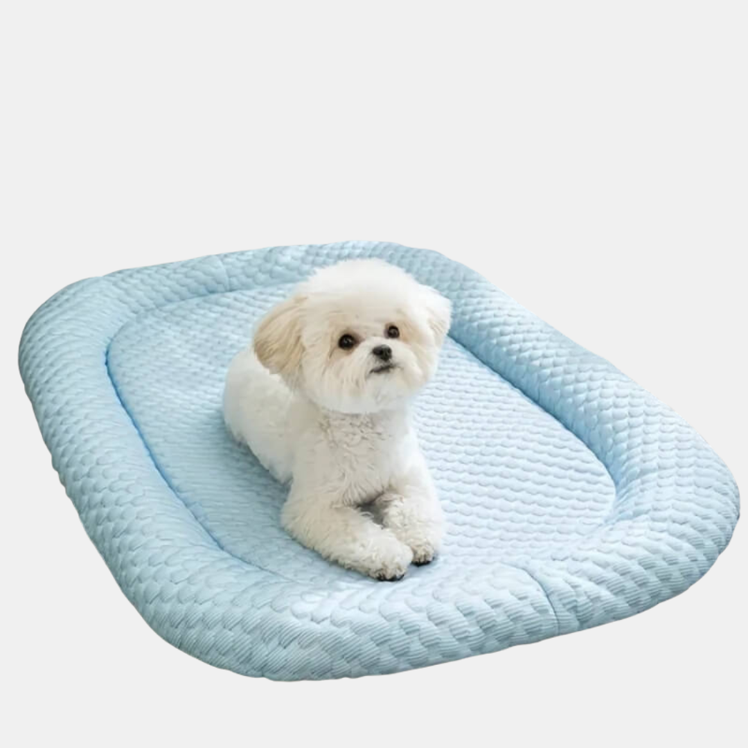 Cooling Dog Bed – Refreshing Comfort for Hot Days-Cooling Dog Bed-Unique Casa-Blue-S (up to 11 lbs / 5 kg)-Unique Casa