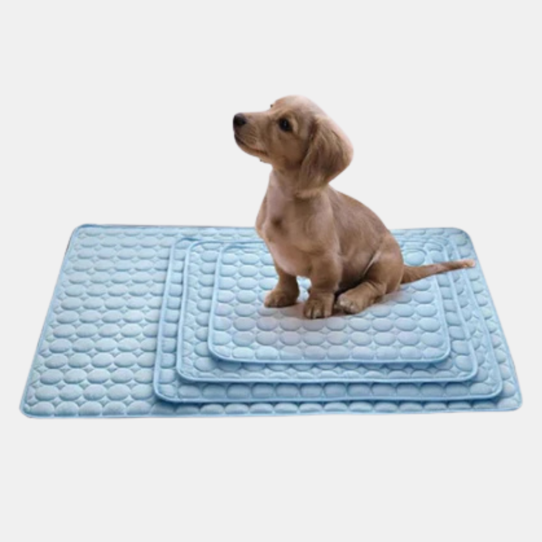 Cooling Dog Mat – Keep Your Pet Cool and Comfortable All Summer Long-Unique Casa-Unique Casa