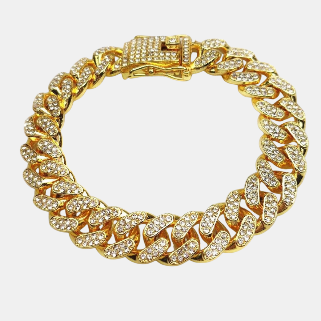 Dog Collar – Luxury Style for Your Pet-Dog Gold Chain Collar-Unique Casa-Gold-XS-Unique Casa