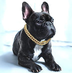 Dog Collar – Luxury Style for Your Pet-Dog Gold Chain Collar-Unique Casa-Unique Casa