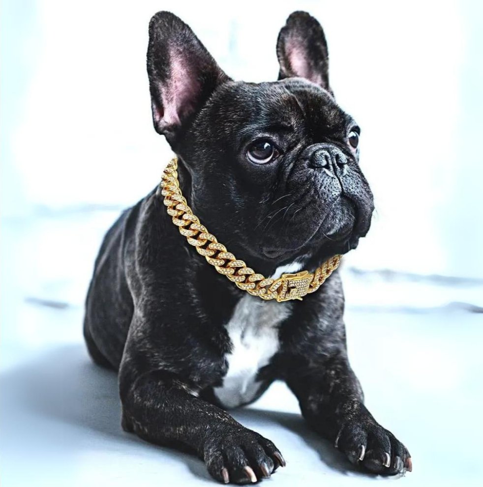 Dog Collar – Luxury Style for Your Pet-Dog Gold Chain Collar-Unique Casa-Unique Casa