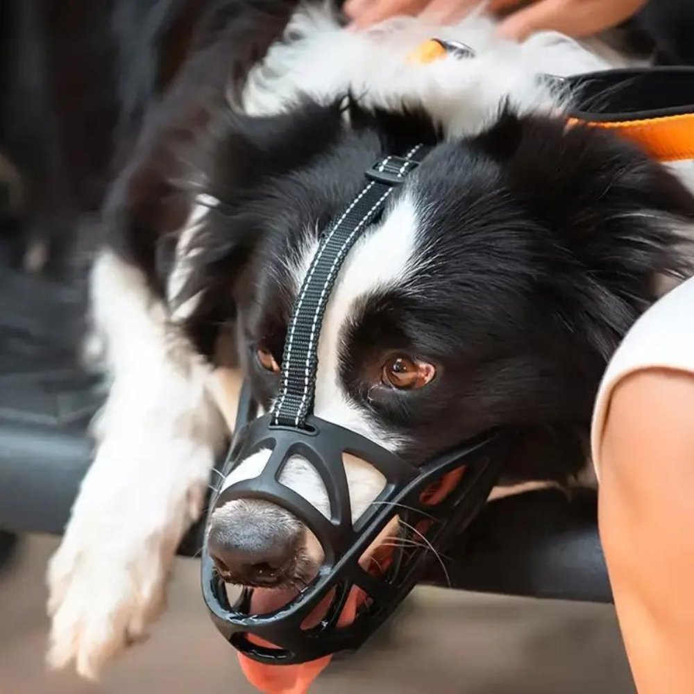 Dog Muzzle – Effective Anti-Bite and Anti-Bark Solution-Dog Muzzle-Unique Casa-Unique Casa