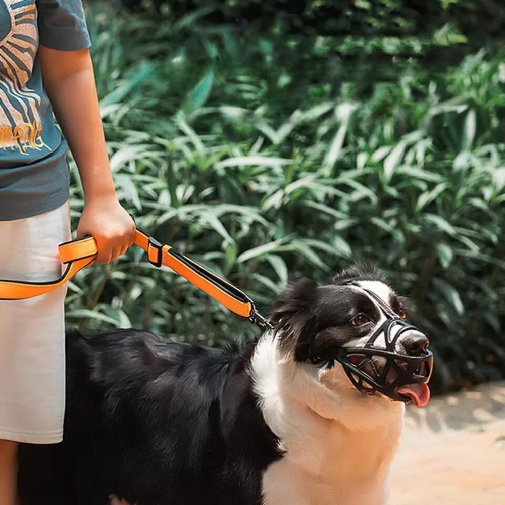 Dog Muzzle – Effective Anti-Bite and Anti-Bark Solution-Dog Muzzle-Unique Casa-Unique Casa