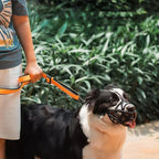 Dog Muzzle – Effective Anti-Bite and Anti-Bark Solution-Dog Muzzle-Unique Casa-Unique Casa