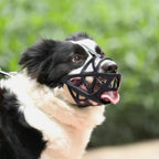 Dog Muzzle – Effective Anti-Bite and Anti-Bark Solution-Dog Muzzle-Unique Casa-Unique Casa
