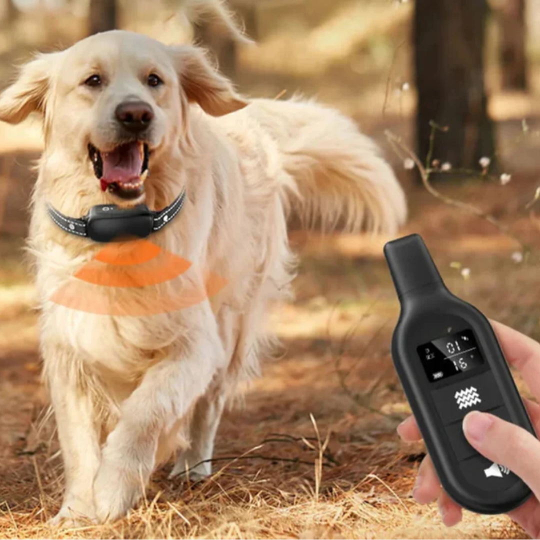 Electric Dog Collar With Remote Control For Safe And Effective Training-Gadgets-Unique Casa-Unique Casa