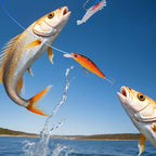 Fishing Advent Calendar for Anglers – 24 Days of Tackle Surprises-Advent Calendar-Unique Casa-Unique Casa