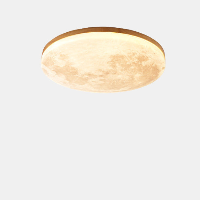Flush Mount Ceiling Light Fixture – Modern LED Design for Home Spaces 0