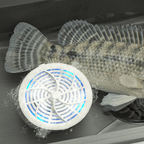 Fruit and Vegetable Cleaner for Safe and Healthy Eating-Home & Garden-Unique Casa-Unique Casa