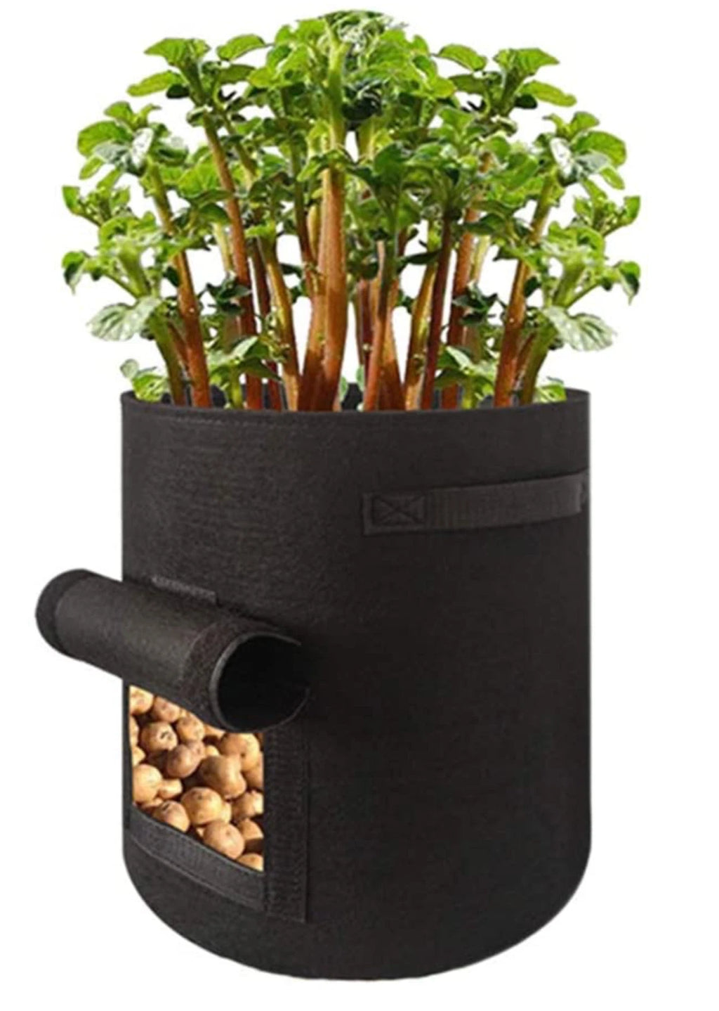 Heavy-Duty Fabric Plant Grow Bags for Vegetables and Herbs-Plant Pot-Unique Casa-Unique Casa