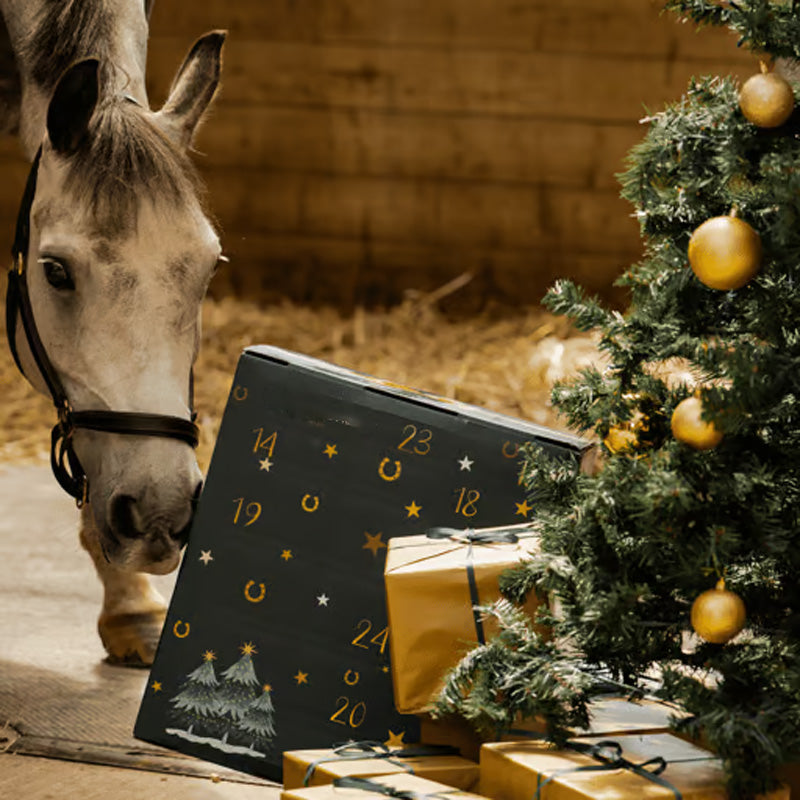 Horse Lovers Advent Calendar 2025 – 24-Day Equestrian Gift Box for Riders and Horses-Advent Calendar-Unique Casa-Unique Casa