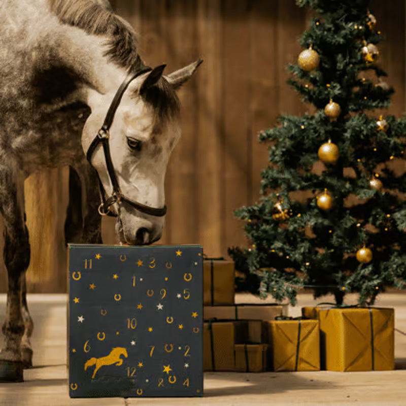Horse Lovers Advent Calendar 2025 – 24-Day Equestrian Gift Box for Riders and Horses-Advent Calendar-Unique Casa-Unique Casa