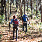 Premium Automatic Retractable Hiking Stick For Adjustable Support And Outdoor Stability-Stick-Unique Casa-Unique Casa