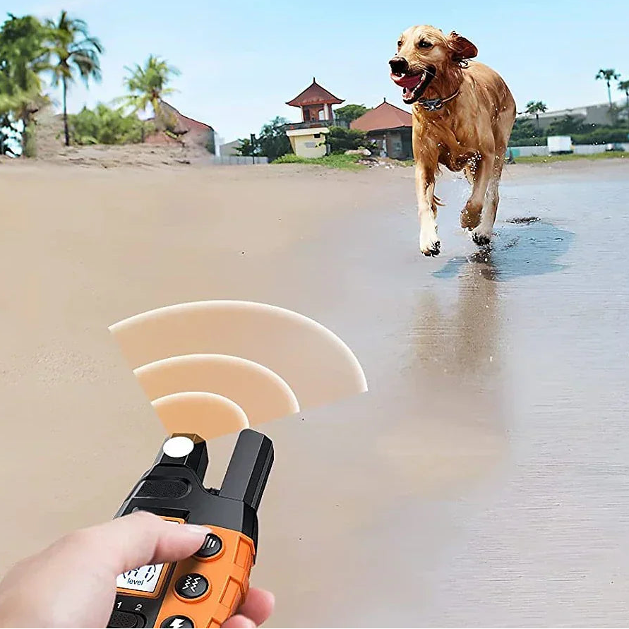 Maximum Control Dog Training Collar – Long Range Waterproof Remote Collar-Training Collar-Unique Casa-Unique Casa