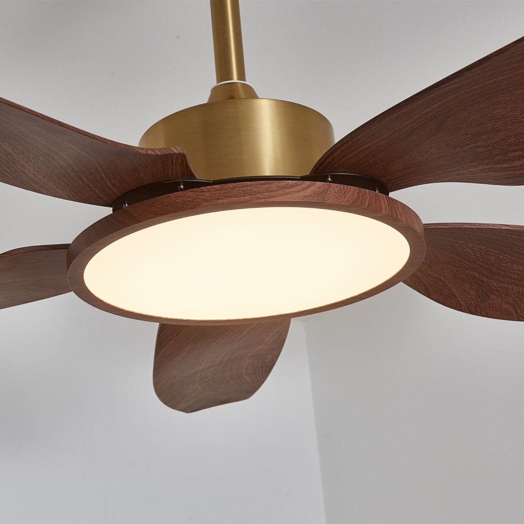 Modern Ceiling Fan with Lights – Elegant Brass Finish and Walnut Blades 8