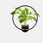 Modern Wall Sconce Lighting with Warm LED – Elegant Accent Light for Home 7