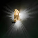 Nature-Inspired Wall Light – Eagle & Owl Wall Sconces for Unique Decor 8