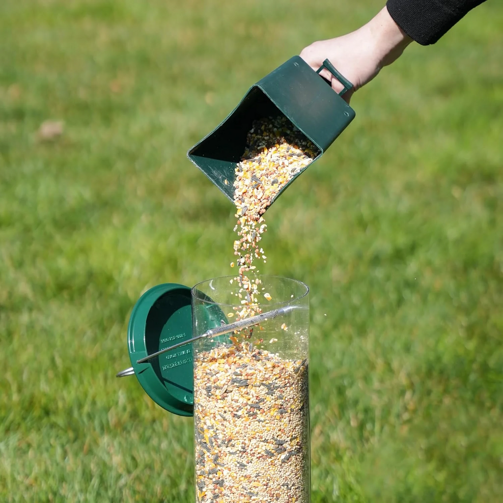 Squirrel-Proof Bird Feeder with Large Seed Reservoir for Backyard Birds 2