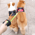 Wrap-Free Double Dog Leash with Flashlight – Walk Two Dogs with Ease and Safety-Pet Supplies-Unique Casa-Unique Casa